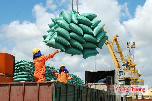 Nghị định 365/2026/NĐ-CP: Tạo thuận lợi cho kinh doanh xuất, nhập khẩu gạo