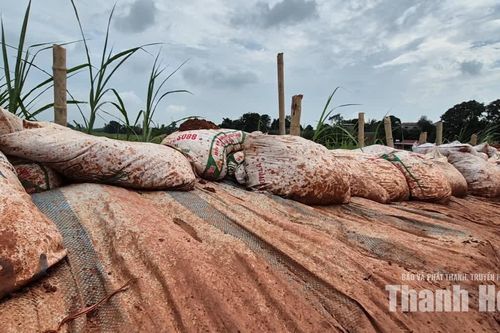 Nhiều tuyến đê bao lộ điểm yếu
