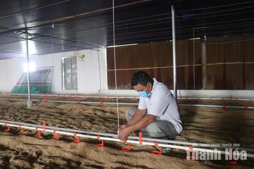 Những rào cản trong tự động hóa chăn nuôi