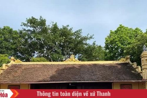 Mỹ Đà - “hồn quê” còn mãi