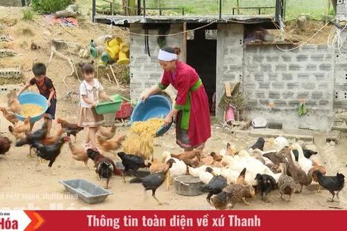 Từ điểm tựa đến sinh kế