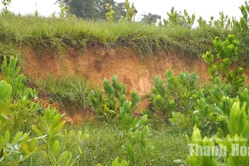 Công bố tình huống khẩn cấp sạt lở tại khu vực đồi Lau Ván, xã Linh Sơn