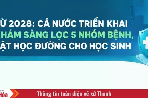 Từ 2028: Triển khai khám sàng lọc 5 nhóm bệnh, tật học đường cho học sinh