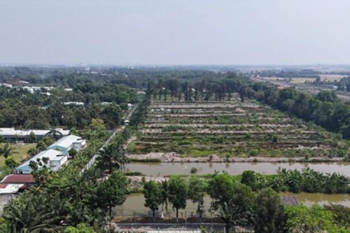 TP. Hồ Chí Minh thu hồi khu đất 7.340 m2 do vi phạm pháp luật về đất đai