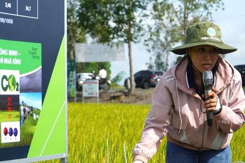 Xây dựng 'cẩm nang' quy trình kiểm kê khí nhà kính và MRV lĩnh vực trồng trọt