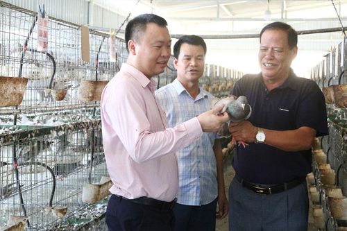 Bắc Ninh: Tín dụng ưu đãi tiếp sức đồng bào dân tộc thiểu số