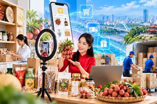Phát triển thương mại điện tử