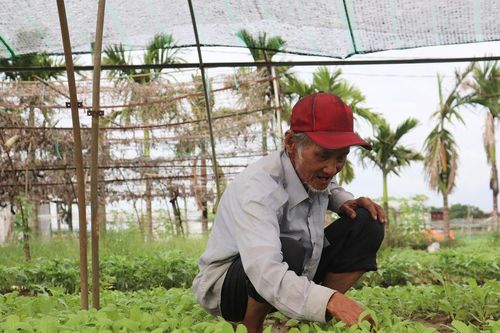 Chủ động bảo vệ sản xuất nông nghiệp