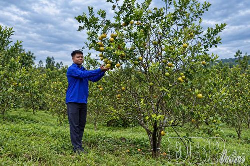 Vốn chính sách tạo đà cho thanh niên lập nghiệp