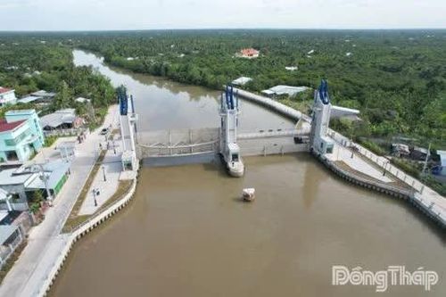 Đồng Tháp: Vận hành các công trình phòng, chống triều cường