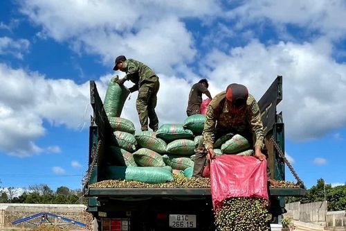 Gia Lai: Kim ngạch xuất khẩu 9 tháng ước đạt hơn 2,9 tỷ USD