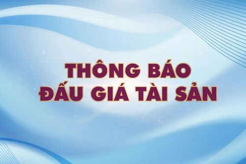 Công ty Đấu giá Hợp danh Lam Sơn Sài Gòn thông báo đấu giá tài sản
