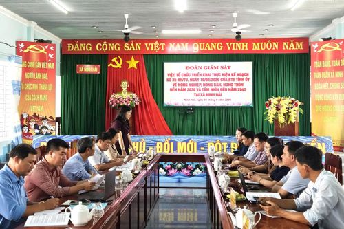 Giám sát việc thực hiện nông nghiệp, nông dân, nông thôn tại xã Ninh Hải