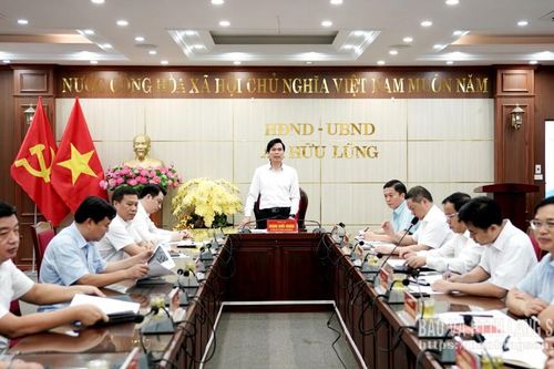 Xem xét đề xuất của nhà đầu tư về các phương án xây dựng Tháp vọng cảnh bên sông Kỳ Cùng