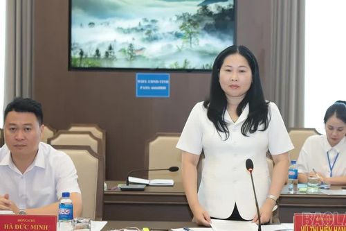 Đoàn kiểm tra Trung ương làm việc với Lào Cai về công tác thi đua, khen thưởng
