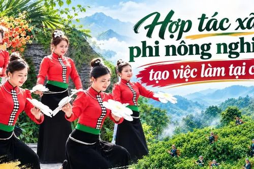 Hợp tác xã phi nông nghiệp tạo việc làm tại chỗ