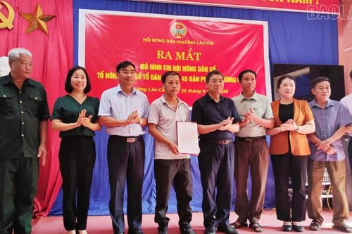 Hội Nông dân phường Lào Cai ra mắt Tổ Nông dân số và hỗ trợ cây giống cho hội viên