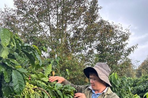 Khi đồng bào chủ động thay đổi để nâng cao thu nhập