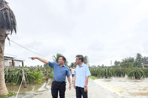 Đoàn công tác UBND tỉnh Lâm Đồng kiểm tra tình hình thiên tai phường Bình Thuận và xã Tuyên Quang