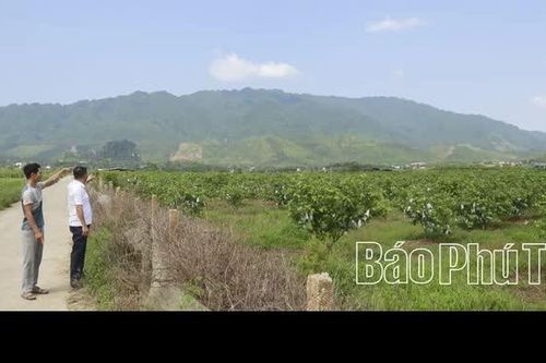 Nghịch lý xóm “hữu đinh, vô điền”