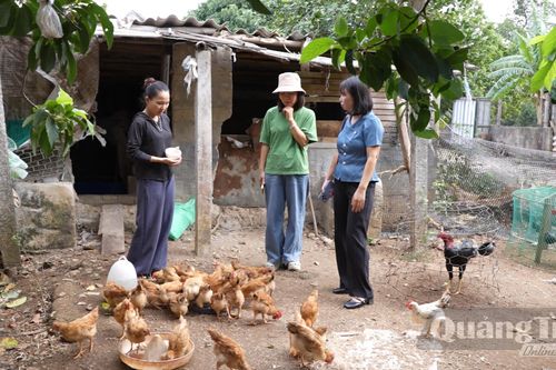 Sức bật từ 'cần câu' sinh kế