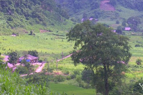 Khởi sắc ở Lũng Hoài