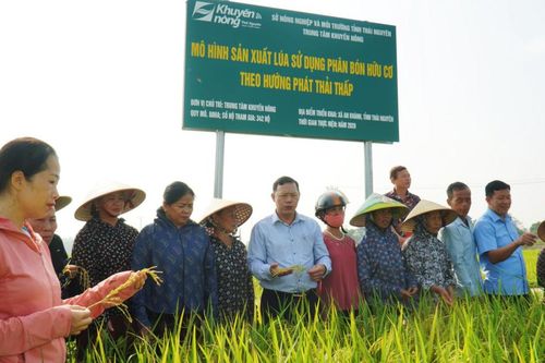 Đánh giá mô hình canh tác lúa sử dụng phân bón hữu cơ