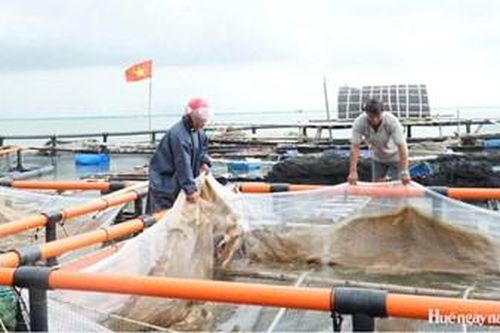 Hướng phát triển bền vững cho nghề nuôi thủy sản