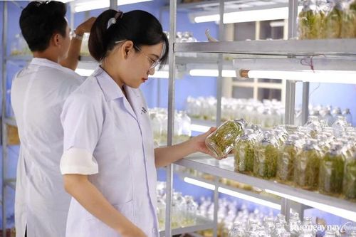 Từ phòng thí nghiệm đến thị trường: Đường đi mới cho công nghệ sinh học Huế