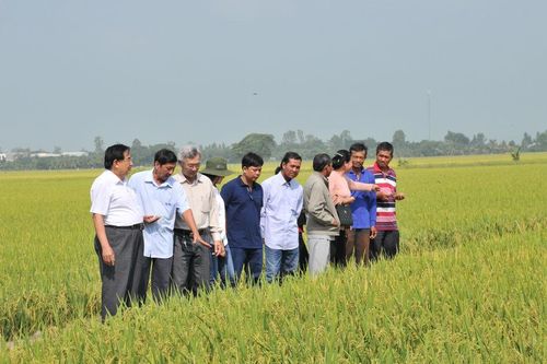 TP. Cần Thơ: Khoa học, công nghệ và chuyển đổi số góp phần phát triển kinh tế vùng ĐBSCL