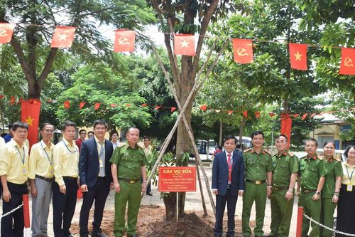 Xếp hạng 'Trường Xanh' năm 2026: Cao đẳng Kỹ nghệ II bước vào chặng đường phát triển mới