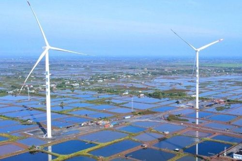 Cổ phiếu của Kosy giảm sàn liên tiếp, về đáy 6 năm