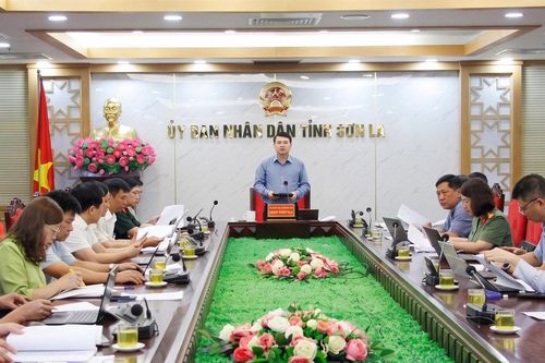 Sơn La đẩy nhanh xử lý văn bản quy phạm pháp luật