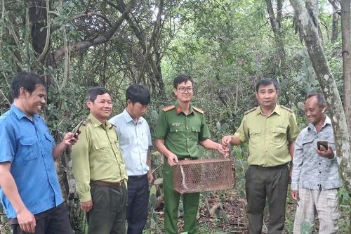 Bắt được trăn gấm quý hiếm người dân trình báo Công an xã