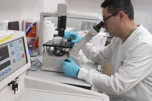 Panama phát hiện hoạt tính kháng ký sinh trùng trong rong mơ