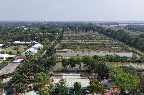 TP.HCM thu hồi khu đất 7.340 m² tại Hóc Môn do vi phạm đất đai