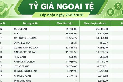 Tỷ giá ngoại tệ ngày 25/9: USD đi ngang, SGD vượt 20.600 đồng, GBP áp sát 35.000 đồng