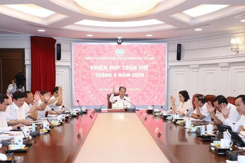 Ba án lệ mới về sở hữu trí tuệ: Doanh nghiệp cần lưu ý gì?
