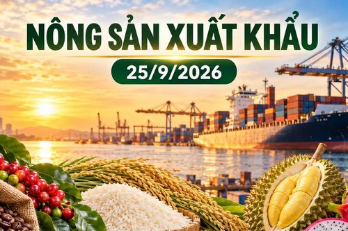 Nông sản xuất khẩu 25/9: Cà phê, hồ tiêu cùng giảm giá; rau quả vượt 7,3 tỷ USD