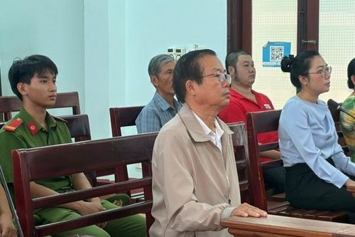 Gây ô nhiễm môi trường, Chủ tịch TNHH Phước Loan lĩnh án