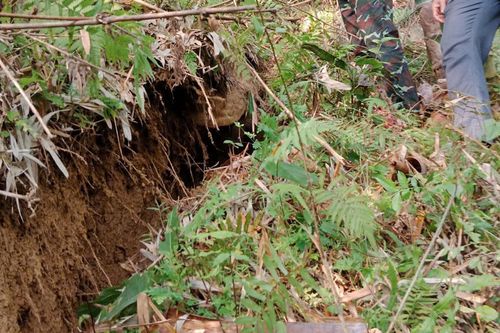 Vết nứt dài 800 mét trên sườn đồi ở Thanh Hóa, đe dọa 28 hộ dân