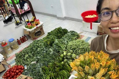 Cử nhân Luật quốc tế bỏ việc văn phòng đi bán rau củ, ngày bán 200 kg