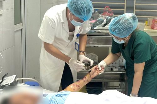 Chó tấn công cụ bà nằm liệt giường 6 năm
