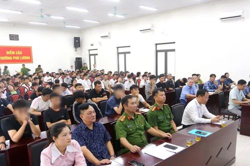 Cầu nối nhân văn và sáng kiến đặc biệt trong giáo dục, đồng hành cùng thanh thiếu niên