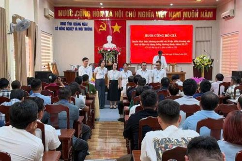 'Choáng váng' giá cát đấu giá tại Quảng Ngãi: Vượt mốc 1 triệu đồng/m³, cao gấp 4 lần thị trường