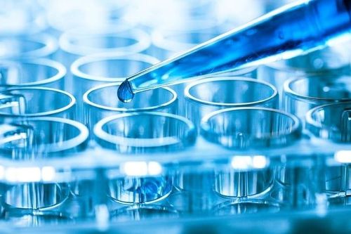Lý do gene tốt với loài này nhưng 'vô dụng' với loài khác