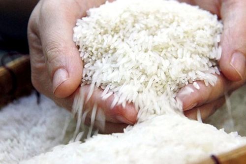 Gạo hữu cơ, gạo đặc sản được 'mở cửa' xuất khẩu thế nào từ tháng 10?