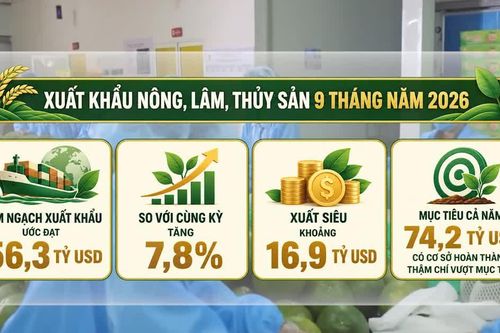[Video] Phó Thủ tướng: Không để sản xuất nông sản xong mới đi tìm thị trường