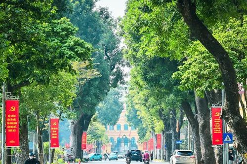 Thời tiết ngày 26/9: Bắc Bộ ngày nắng; cao nguyên Trung Bộ và Nam Bộ mưa lớn giảm dần