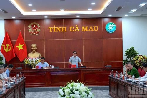 Cà Mau tập trung toàn lực dồn sức chống ngập, khôi phục sản xuất